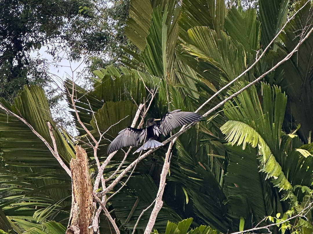 Tuanis Tour Tortuguero景点图片