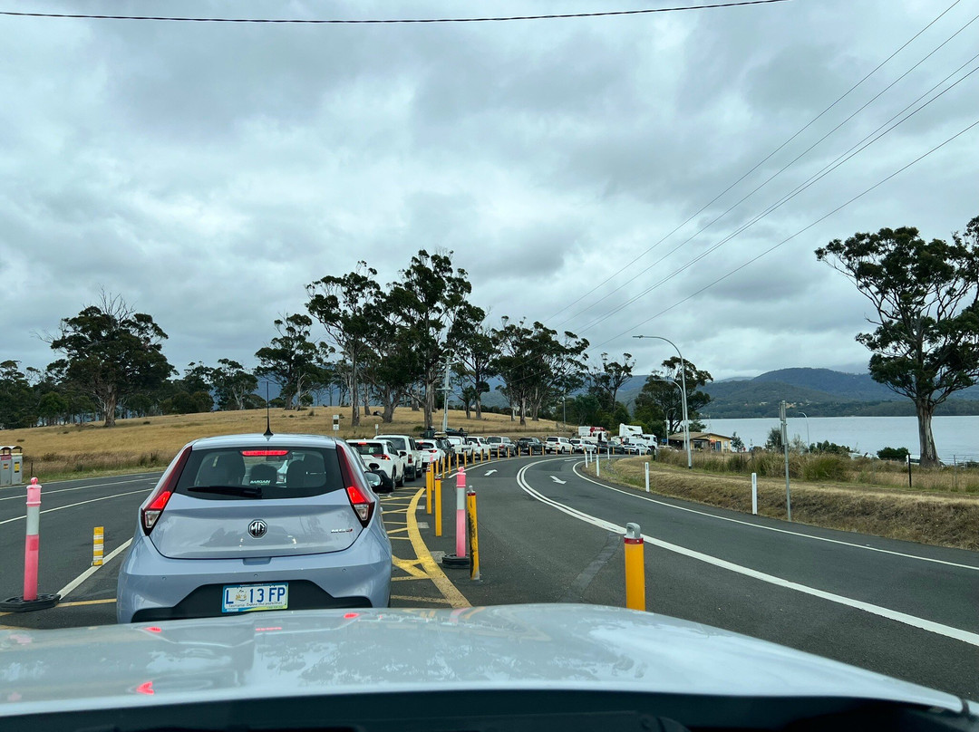 SeaLink Bruny Island Ferry景点图片