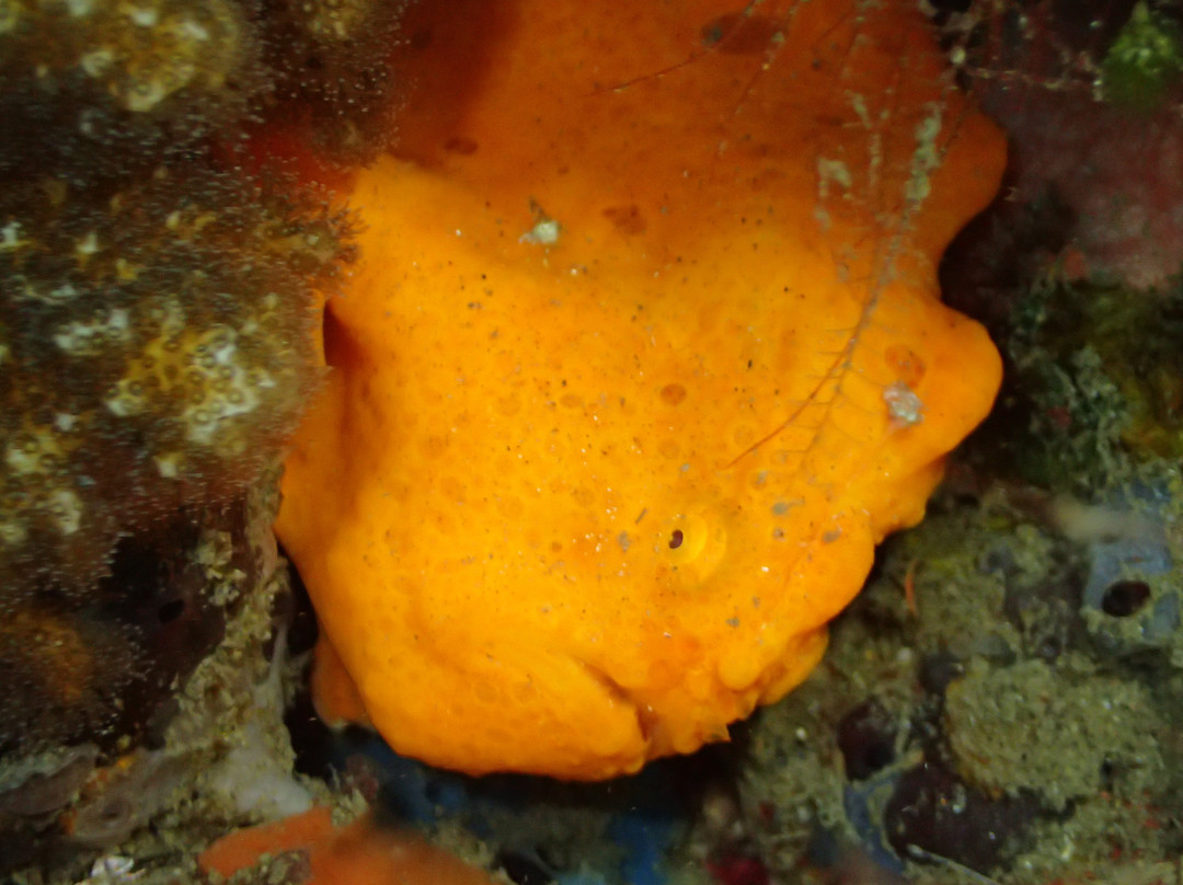 萨拉亚海滩旅馆主图