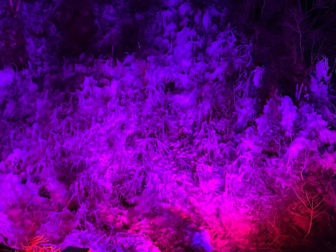 Ashigakubo no Hyochu-横濑町必去景点