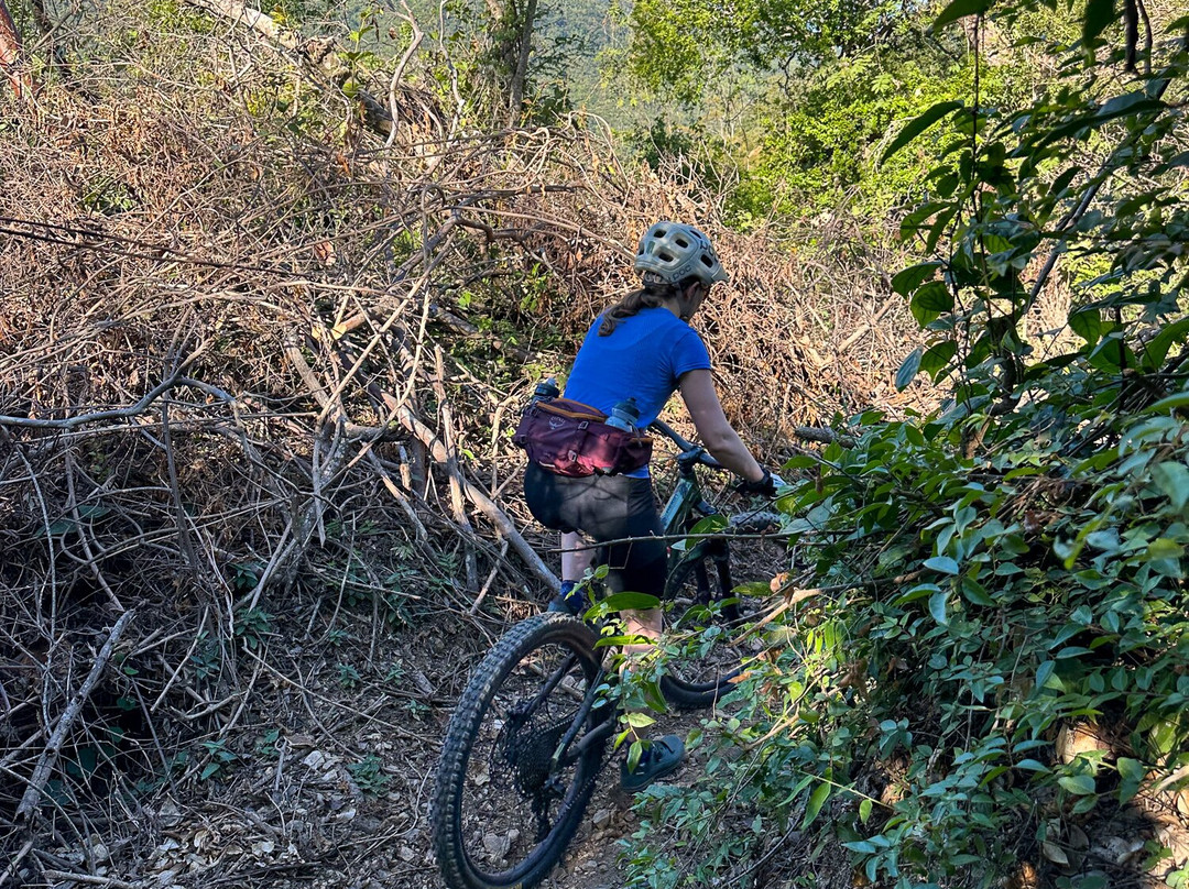 Eco Ride Mountain Bike & Hiking Tours-瓦拉塔港必去景点