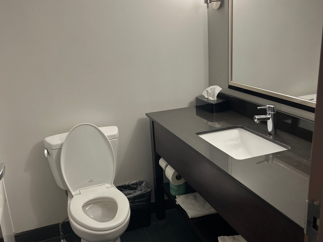 Clarion Pointe Downtown主图