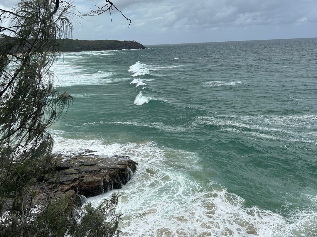 Noosa Farmers Market-努沙必去景点