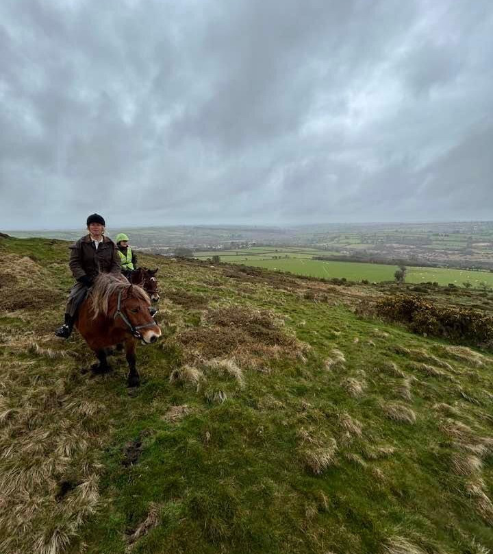Preseli Pony Trekking-Mynachlogddu必去景点