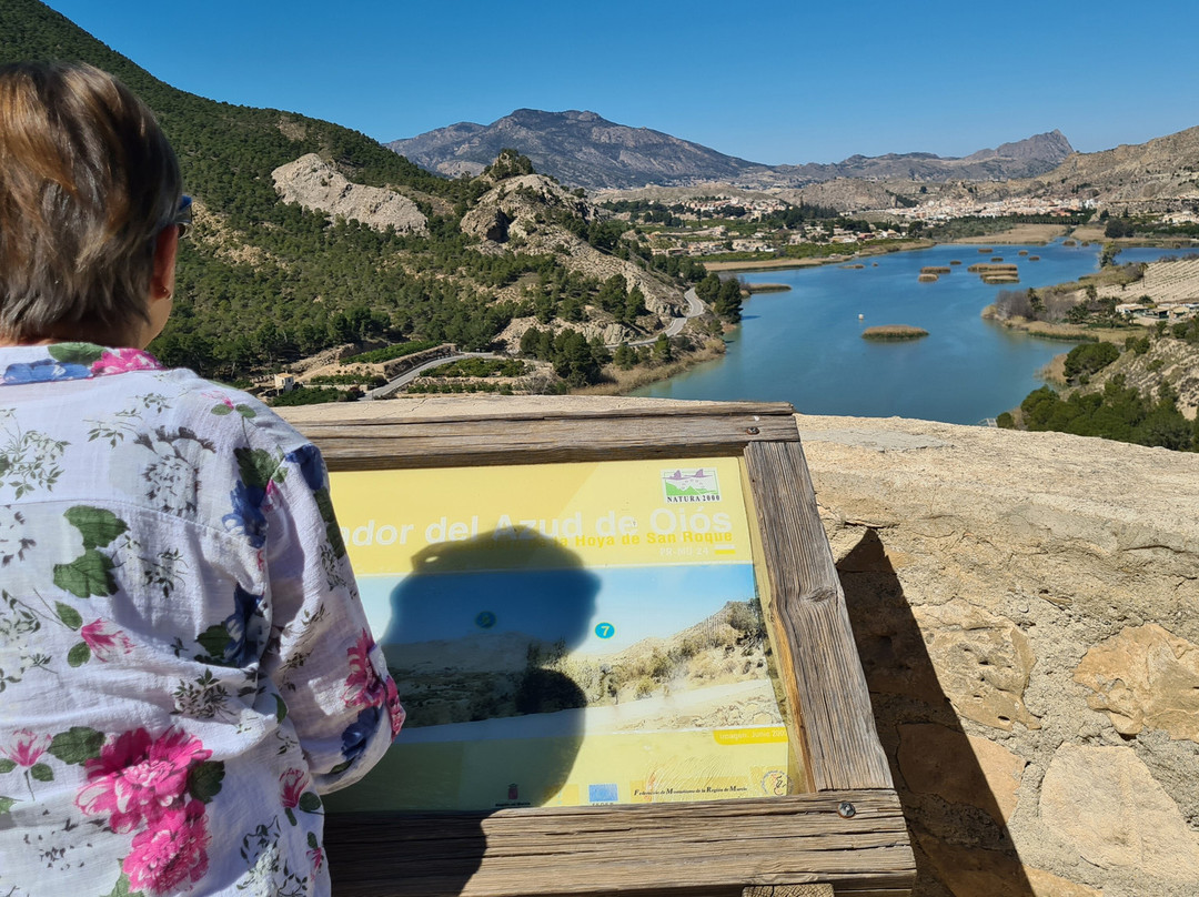 Mirador Del Azud De Ojós景点图片