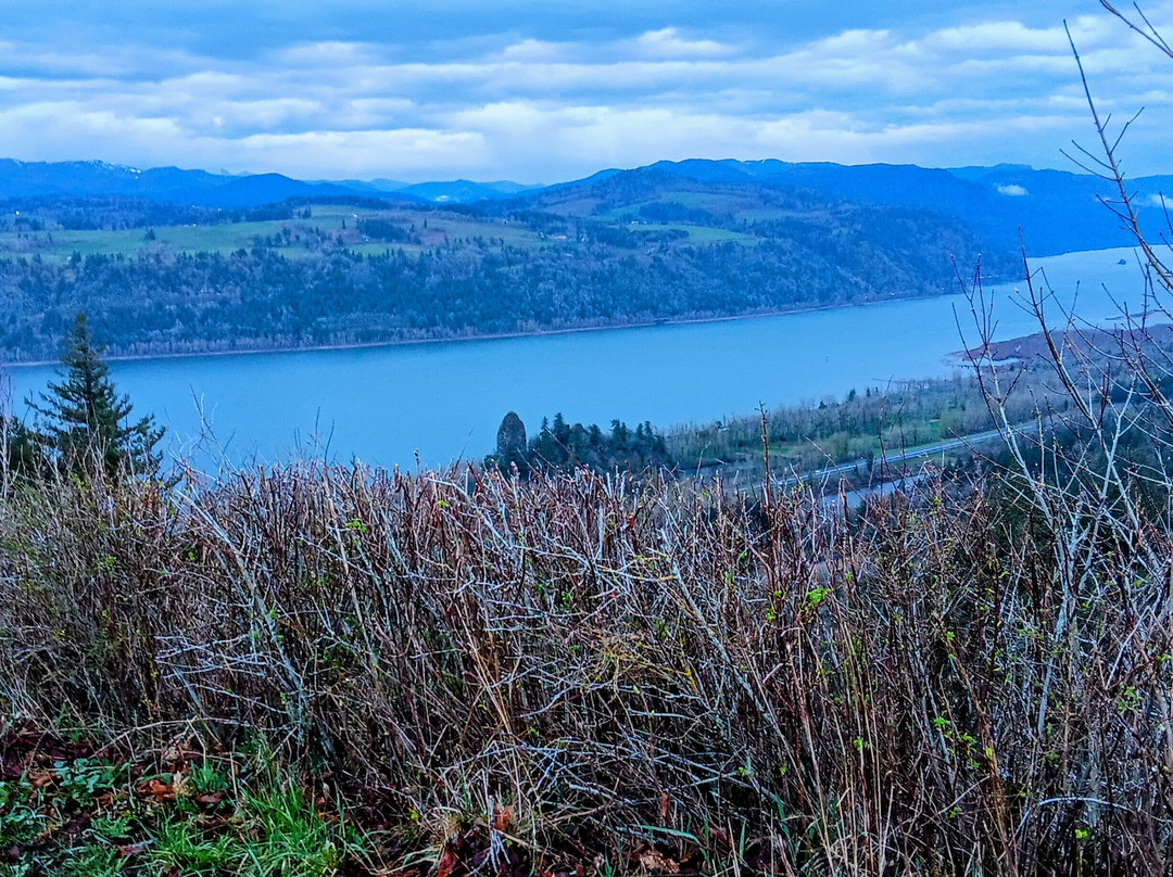 Portland Women's Forum State Scenic Viewpoint-劳特代尔必去景点