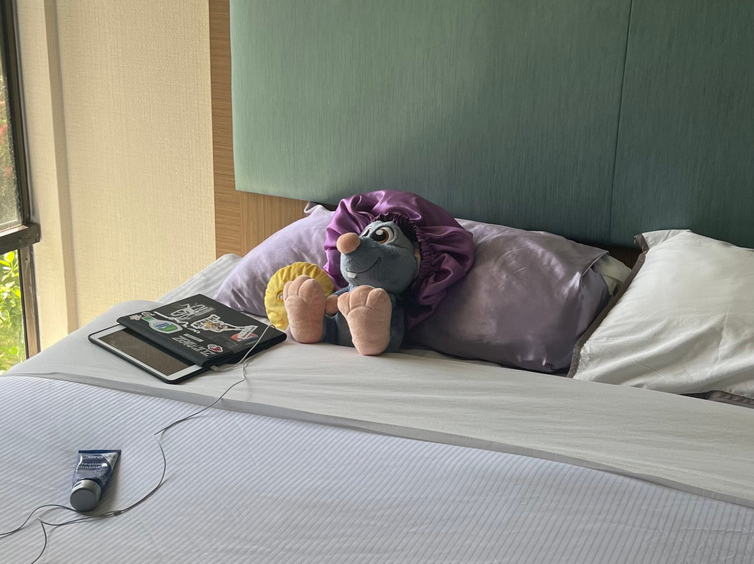 阿纳海姆广场套房酒店主图