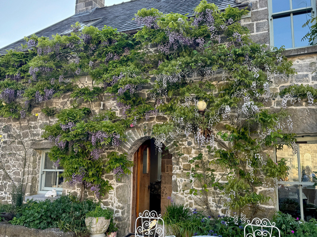 Claregalway Castle景点图片