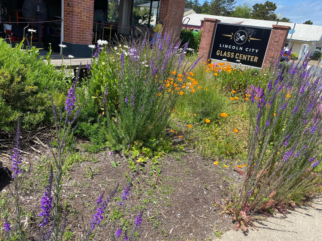 珍妮佛-西尔斯玻璃艺术工作室-林肯城必去景点