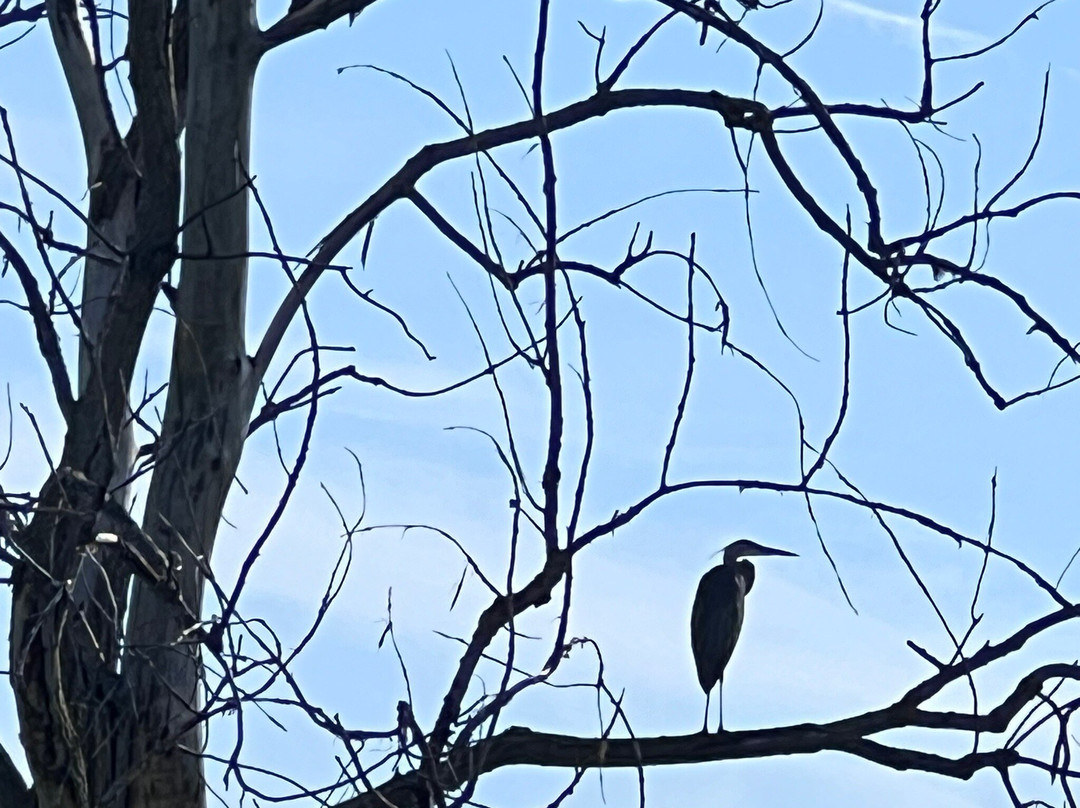 Shiawassee National Wildlife Refuge景点图片