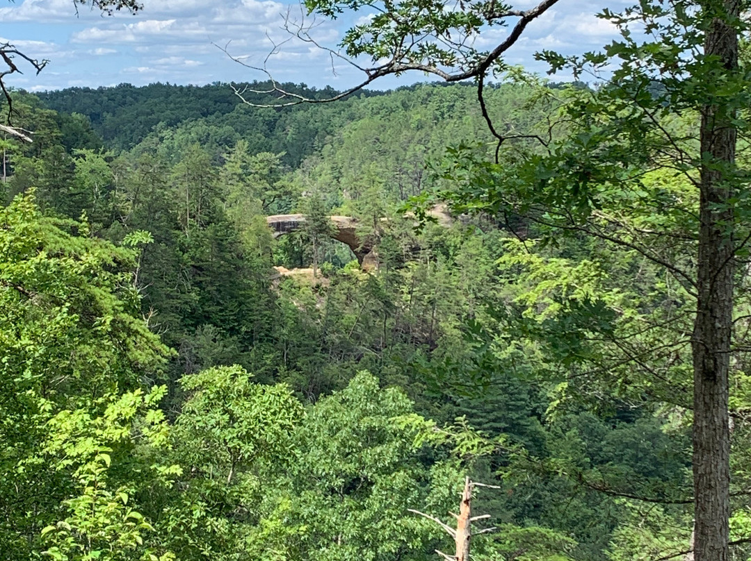 Hiking Red River Gorge景点图片