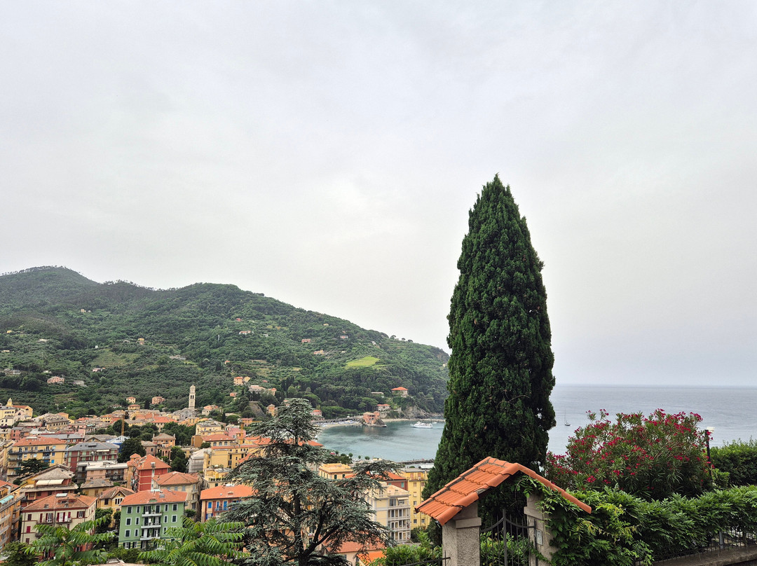 Bellevue - Rooms & Suites主图