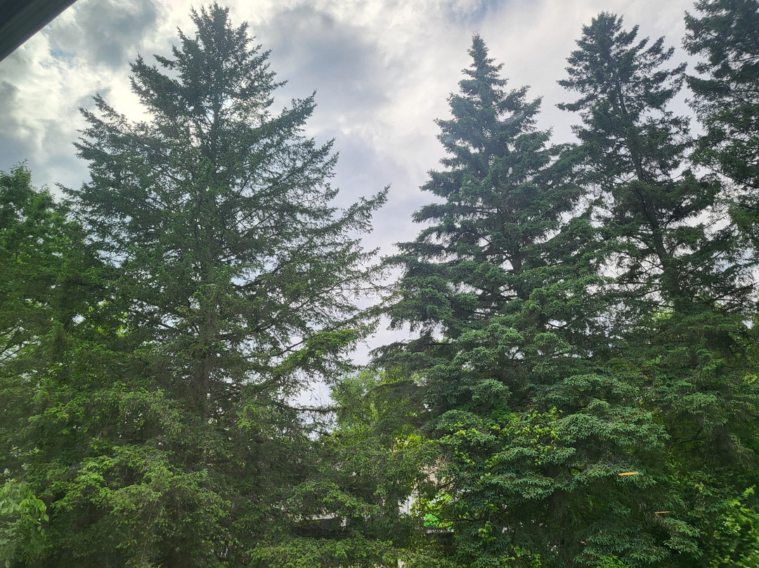 Fairfield by Marriott Inn & Suites Waterbury Stowe主图