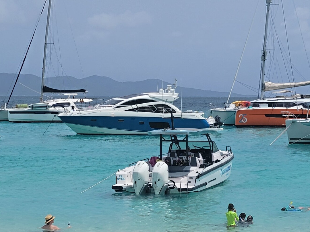 Kindred Spirit Charters-克鲁兹湾必去景点