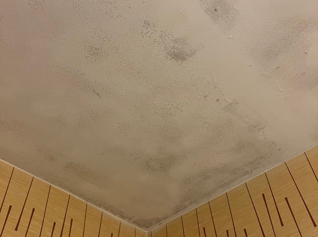 Holiday Inn Express Big Rapids by IHG主图