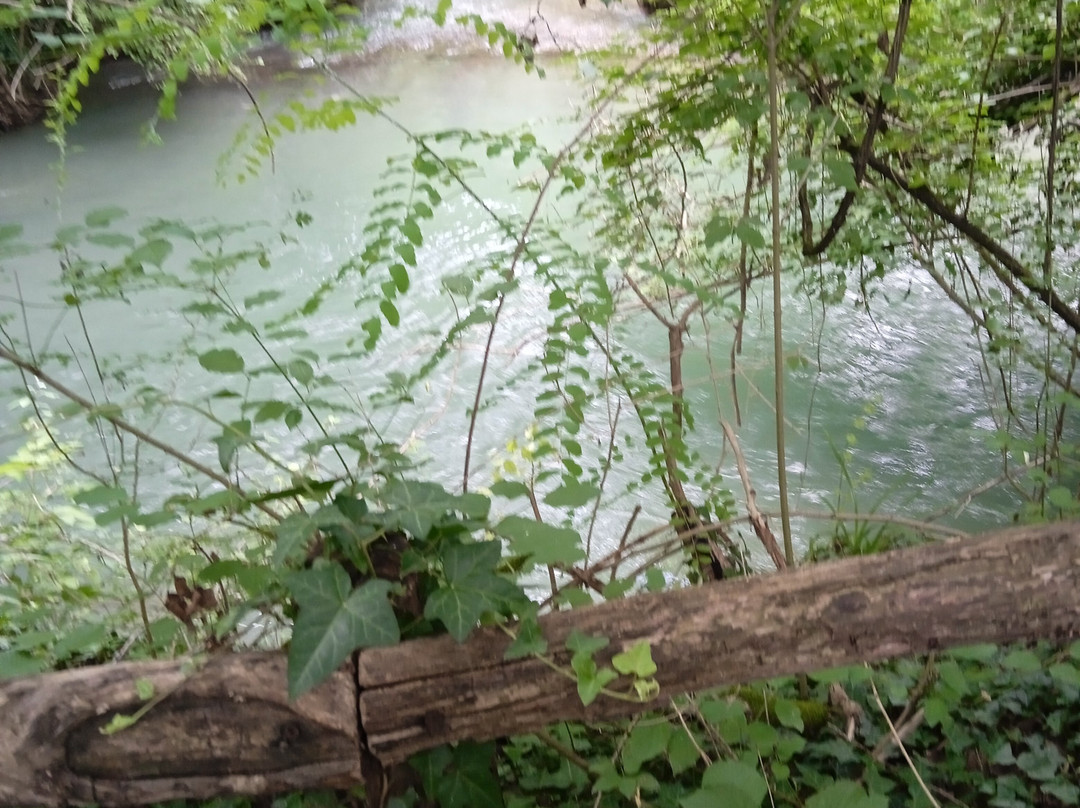 Parco Regionale Fluviale del Taro景点图片