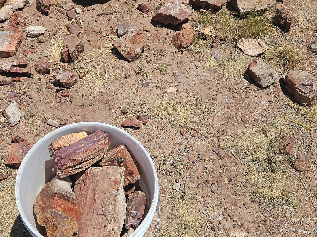 DoBell Ranch-霍尔布鲁克必去景点