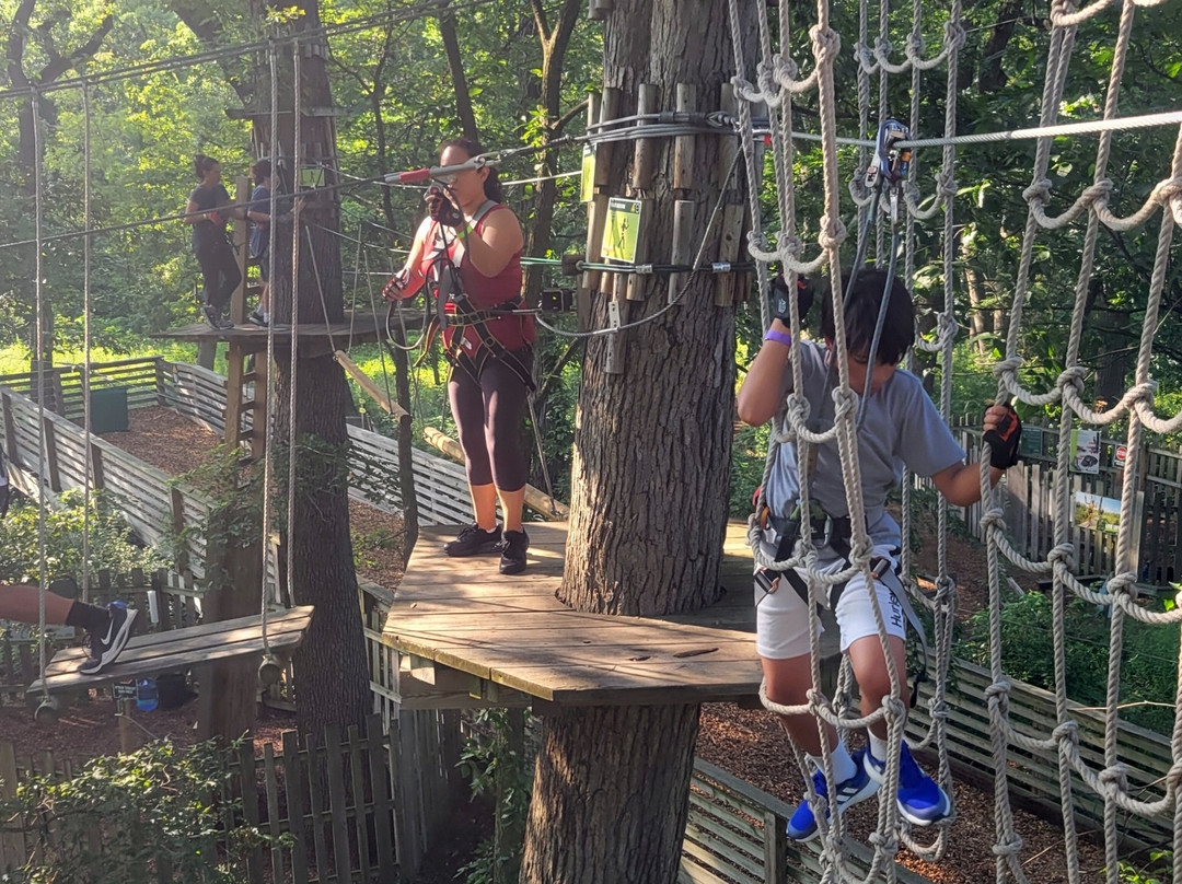 Go Ape Zipline & Adventure Park-Western Springs必去景点