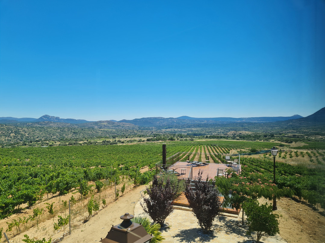 Tierras De Cebreros主图