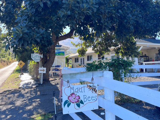 Maui Bees-库拉必去景点