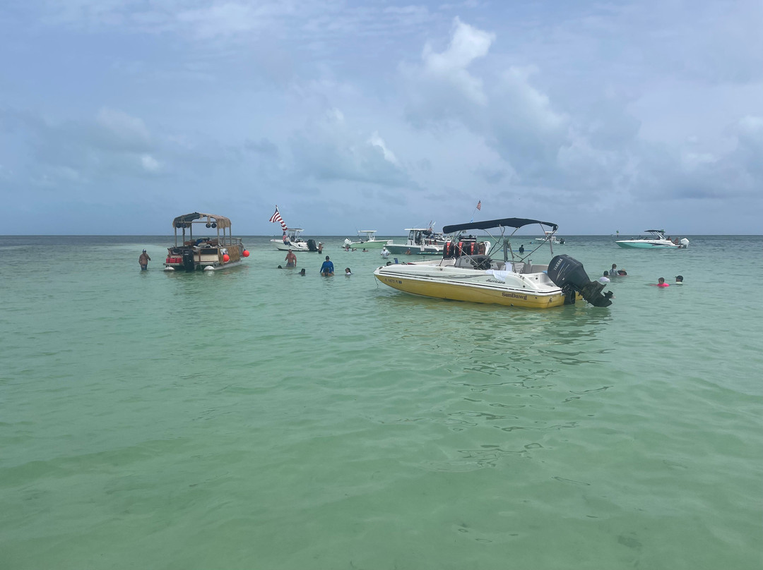 Wild Dolphin Tours-伊斯拉摩拉达必去景点
