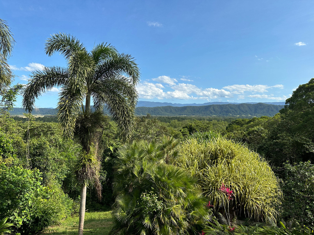 Daintree Manor B&B主图