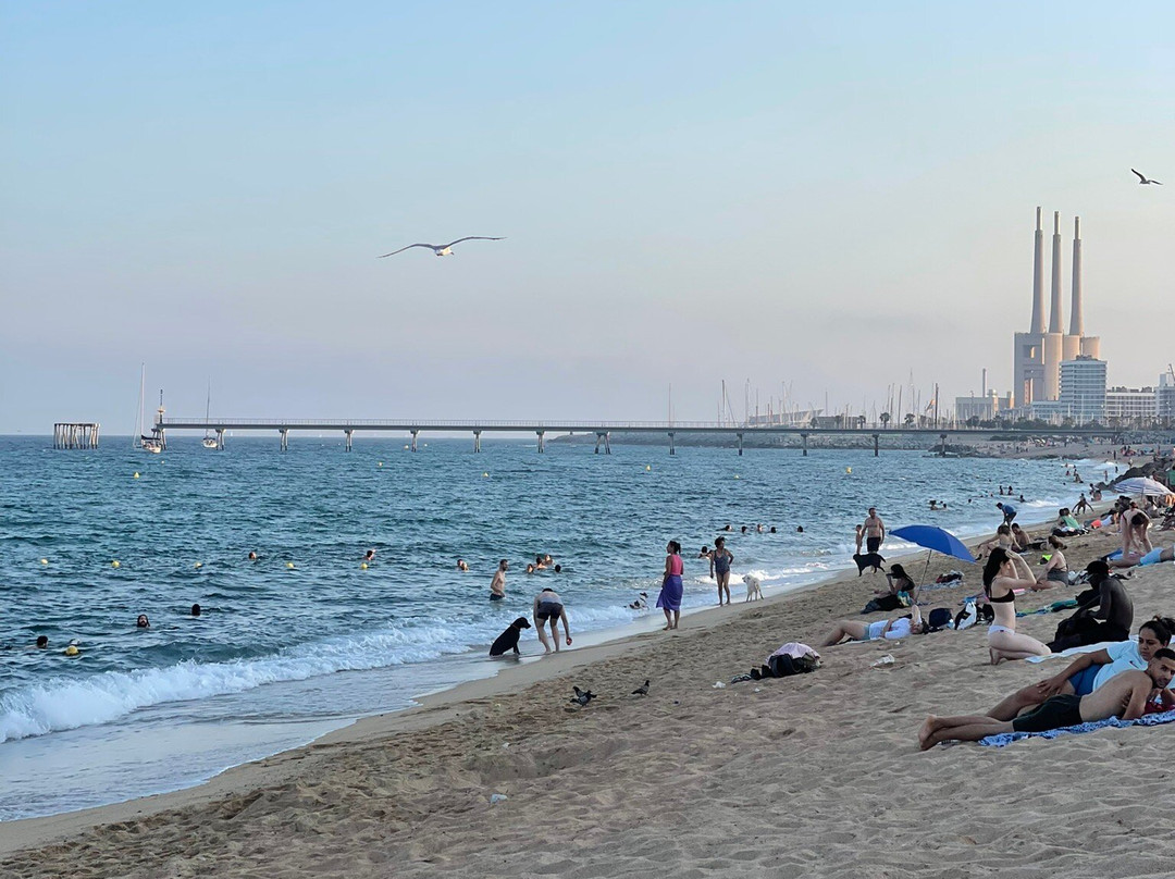 Badalona Beach景点图片