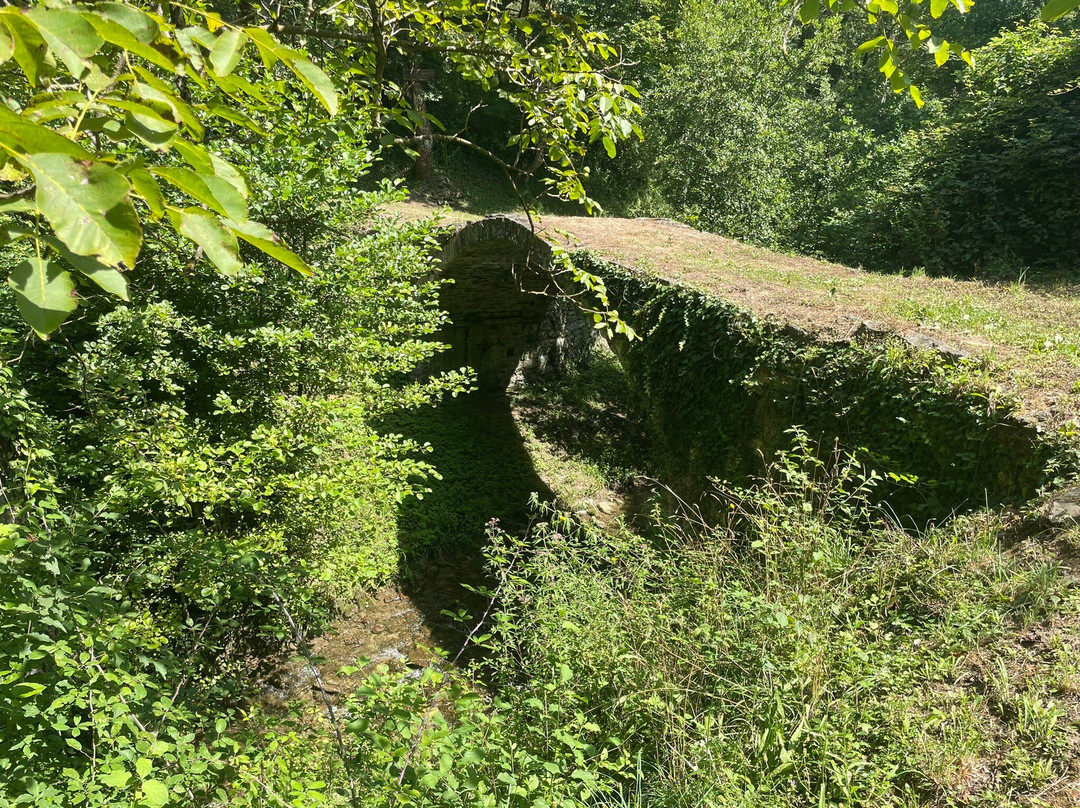 Cicaleto Ponte Di Dante景点图片
