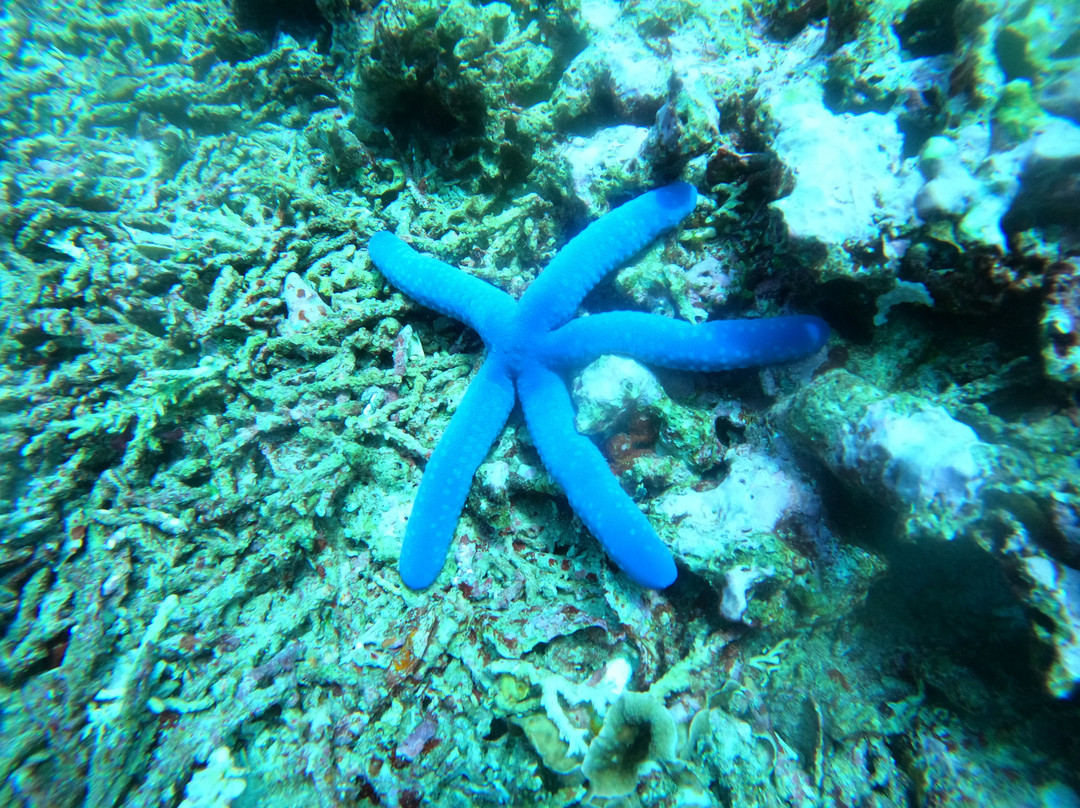 巴厘岛里奇奥船只租赁-克冬迦南必去景点