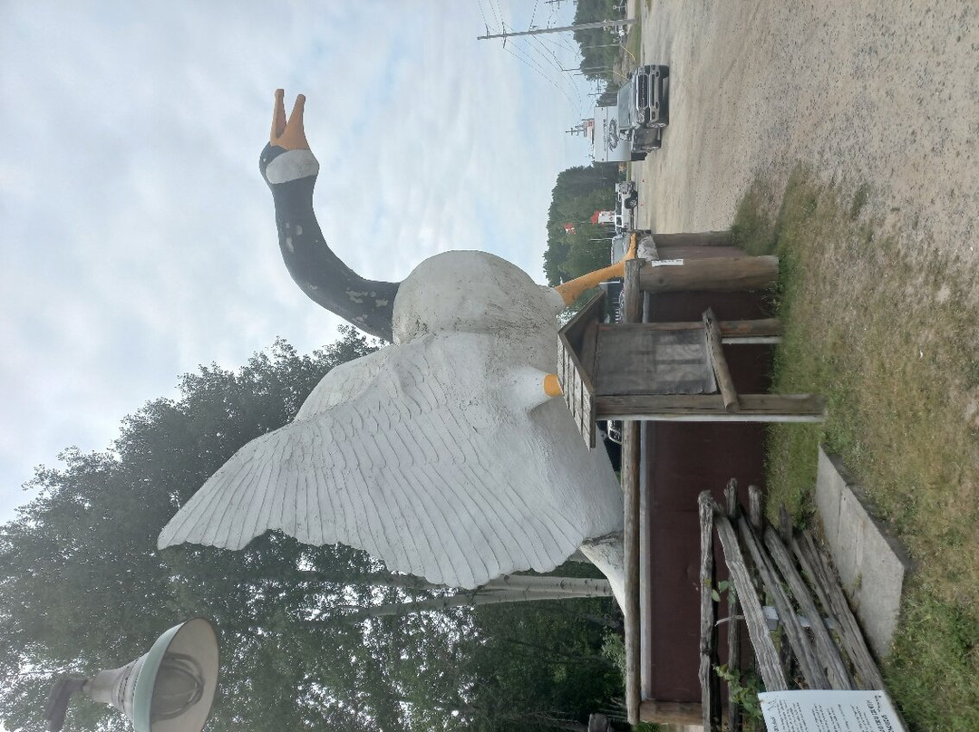 Young's General Store-Wawa必去景点