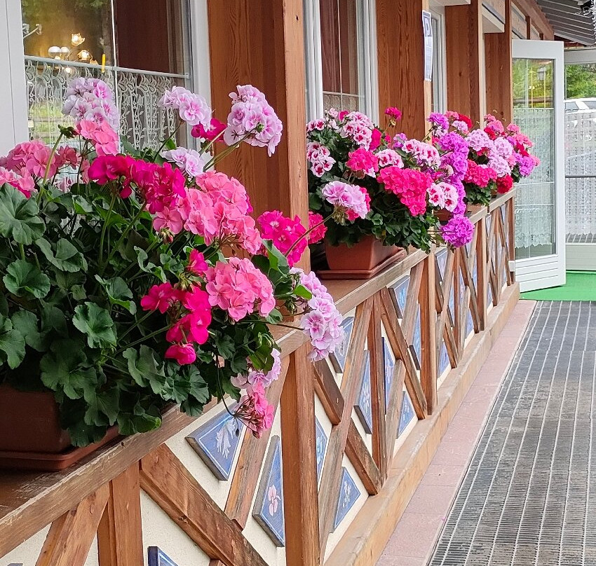 Hotel Gran Chalet Soreghes主图