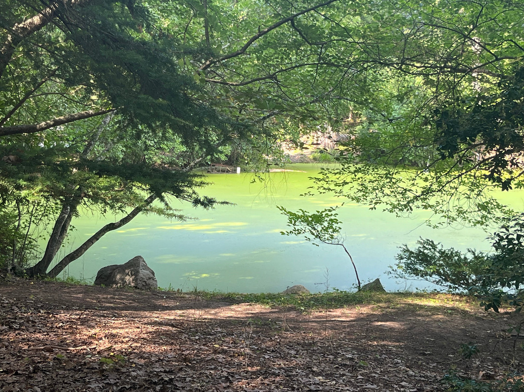 Laurelwood Arboretum景点图片