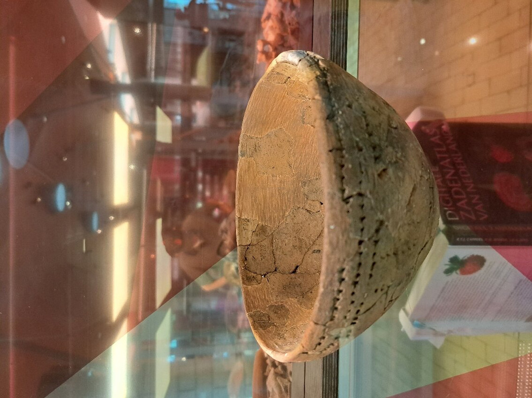 Hunebed Centre景点图片