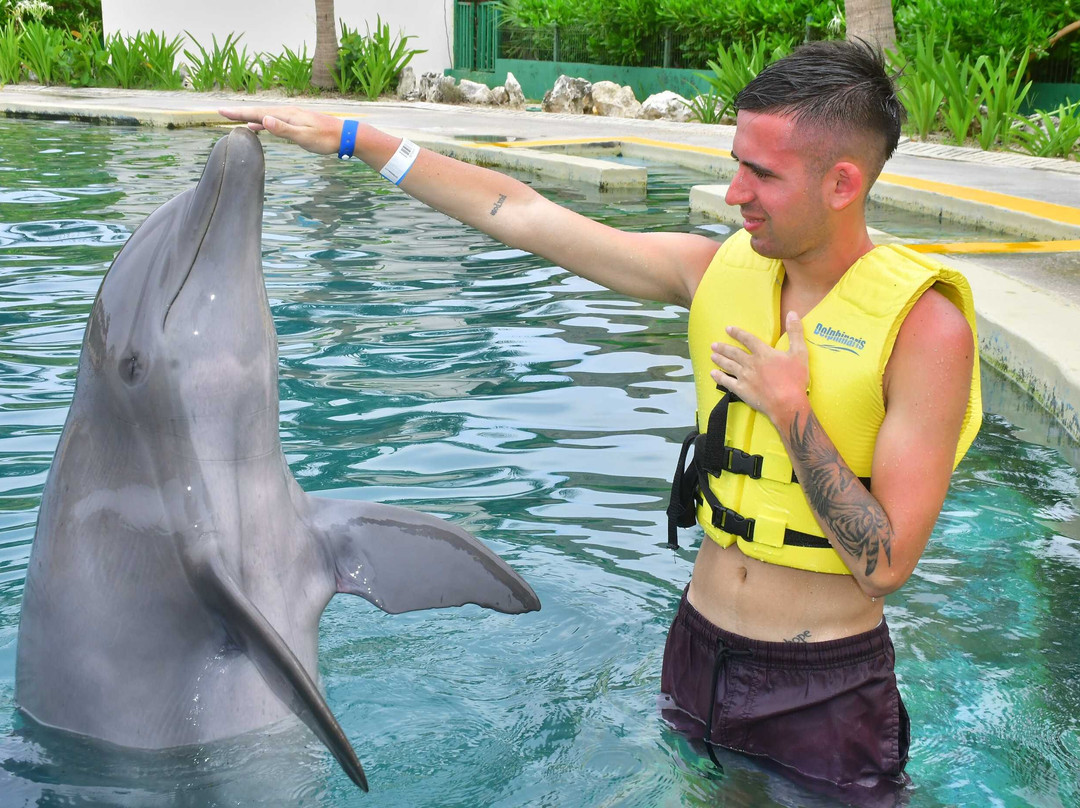 Dolphinaris Tulum景点图片