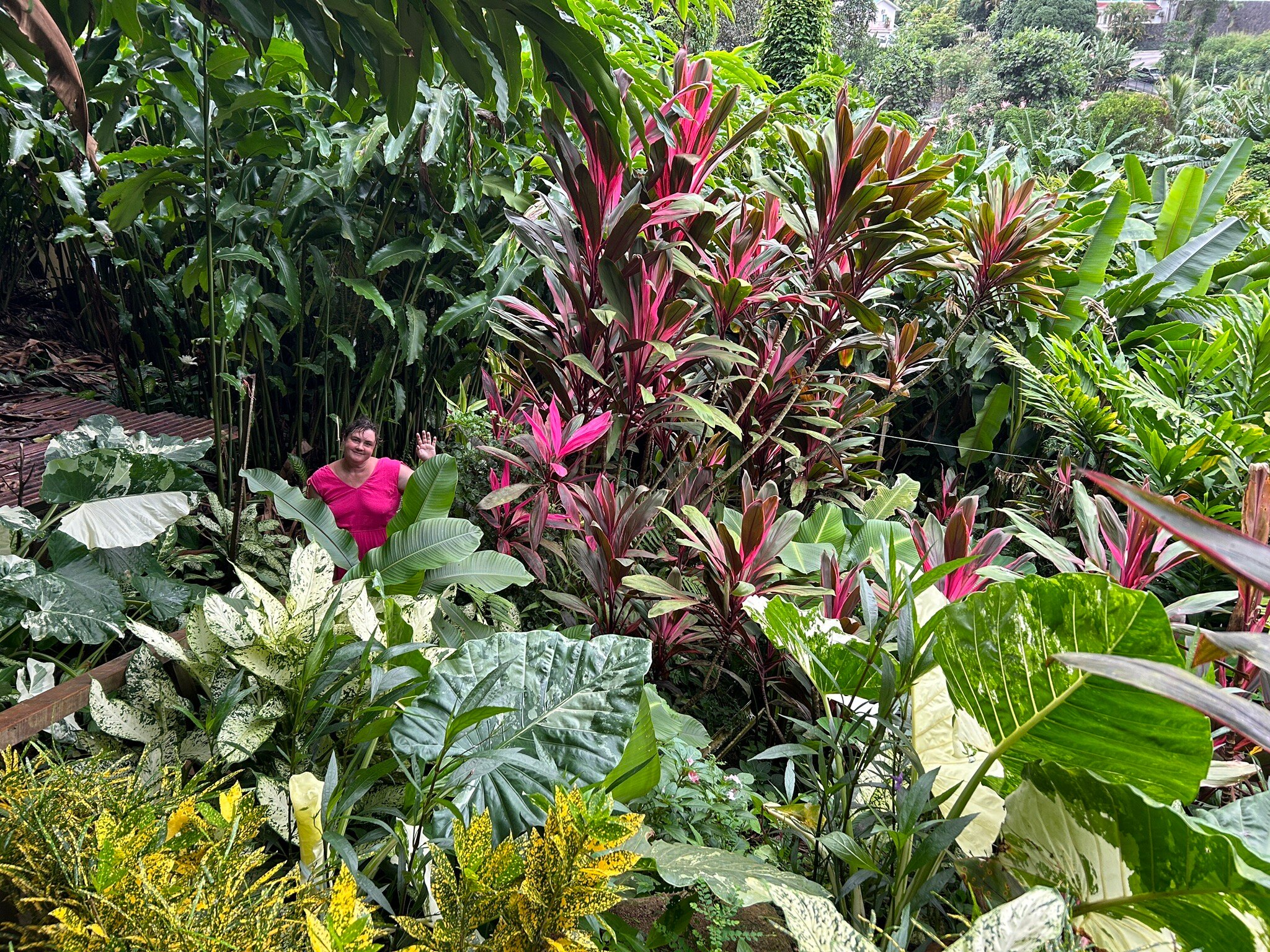 Kot Man-Ya Exotic Flower Garden用户实拍
