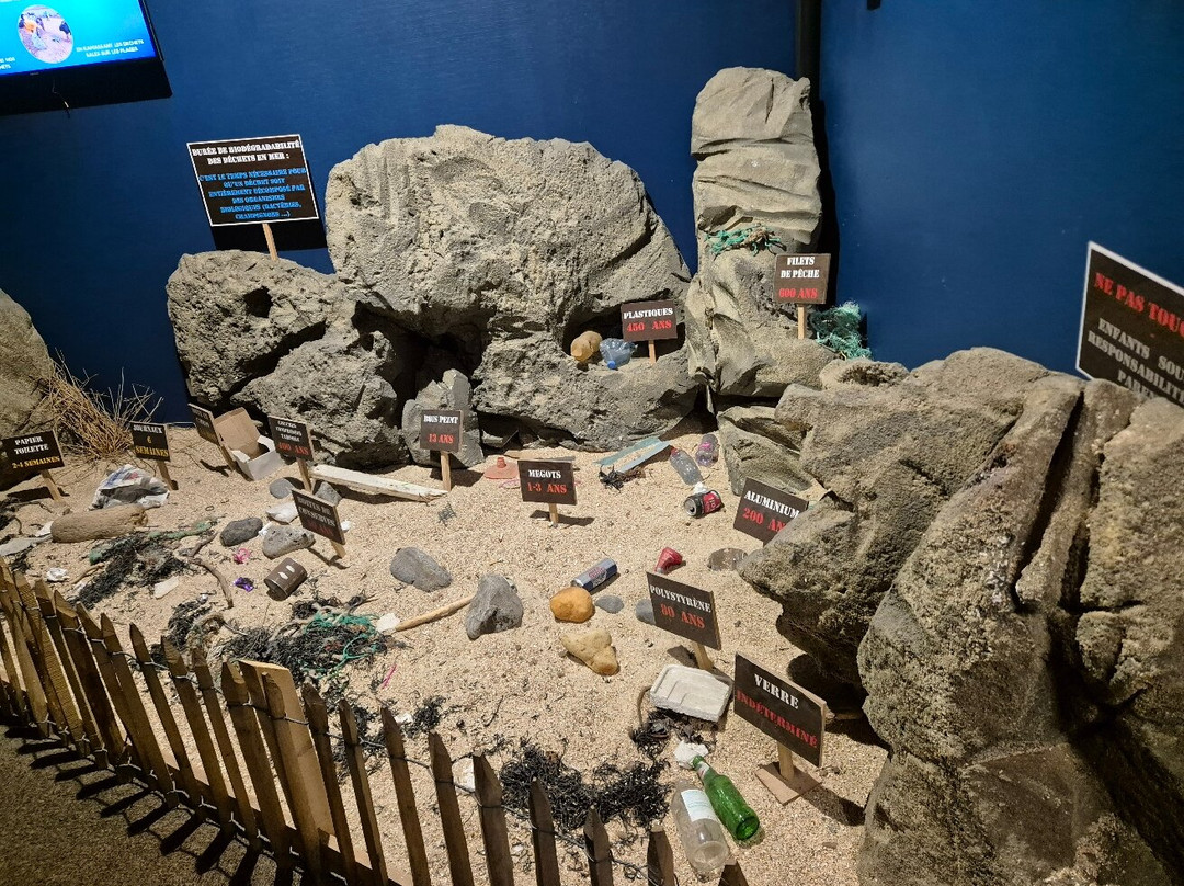 Aquarium de Vendée景点图片