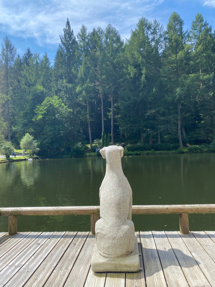 兰根沃德湖酒店-泳池