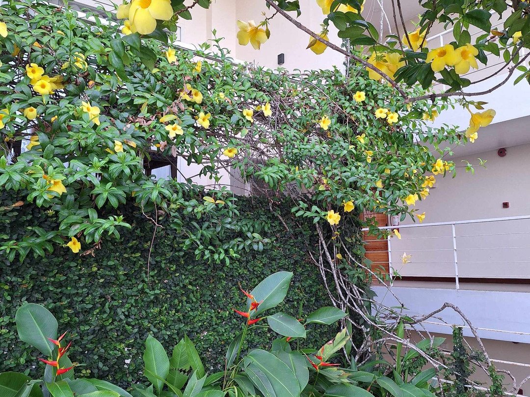 巴拉望岛番加度假酒店主图