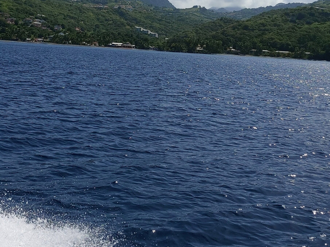 Captain Toch-Le Carbet必去景点