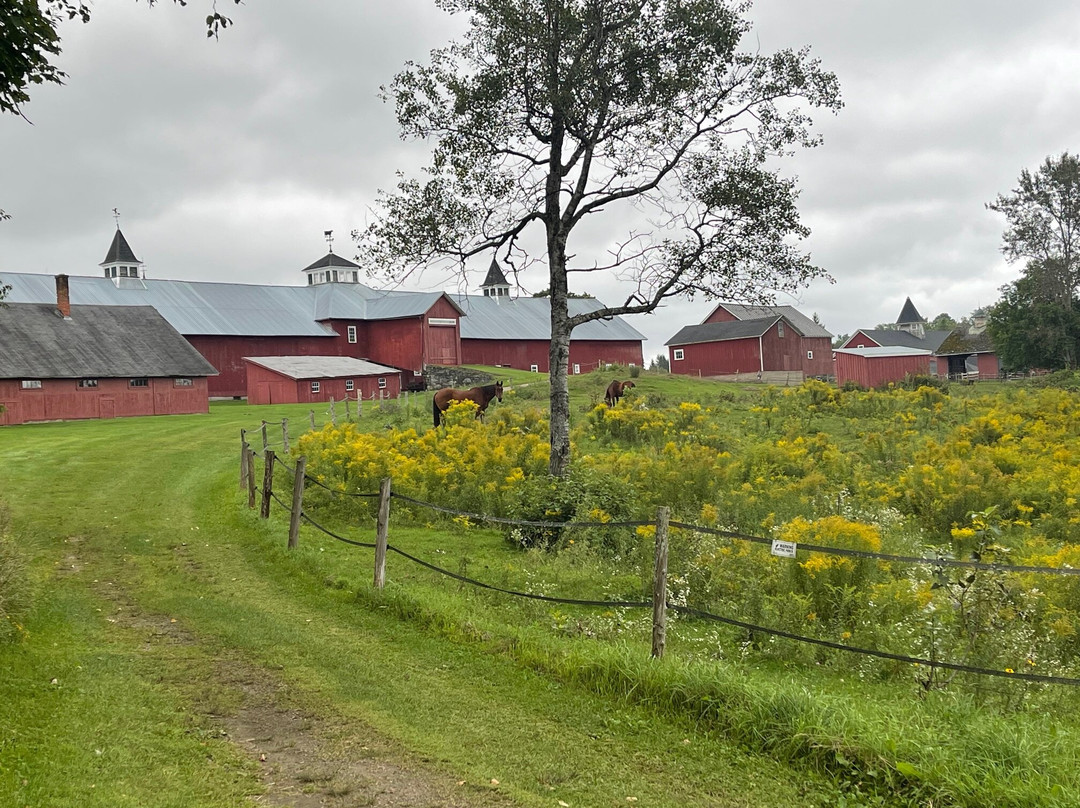 Inn at Mountain View Farm主图