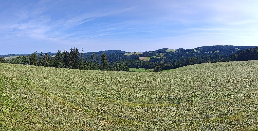 Schwarzwald Hochstrasse-拜尔斯布龙必去景点