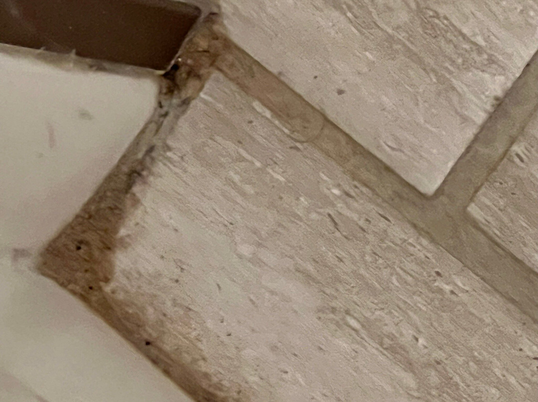 Fredericton Inn主图