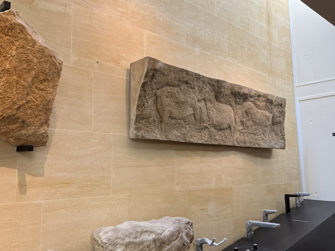 Musee National de Prehistoire景点图片