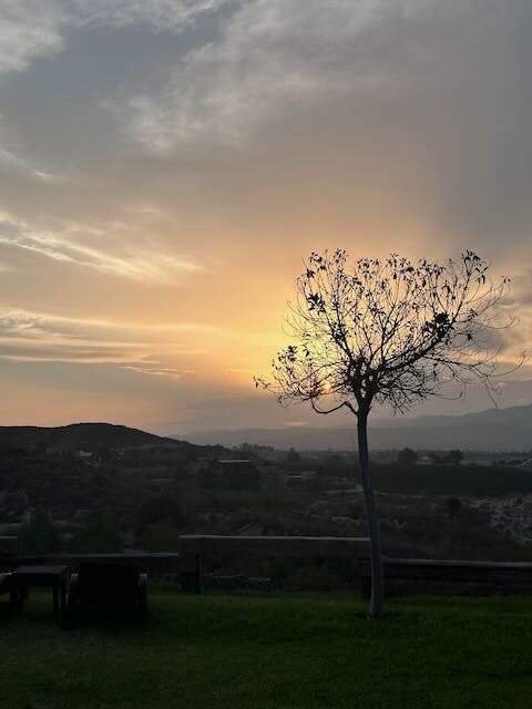 Boutique Hotel Cortijo El Sarmiento主图