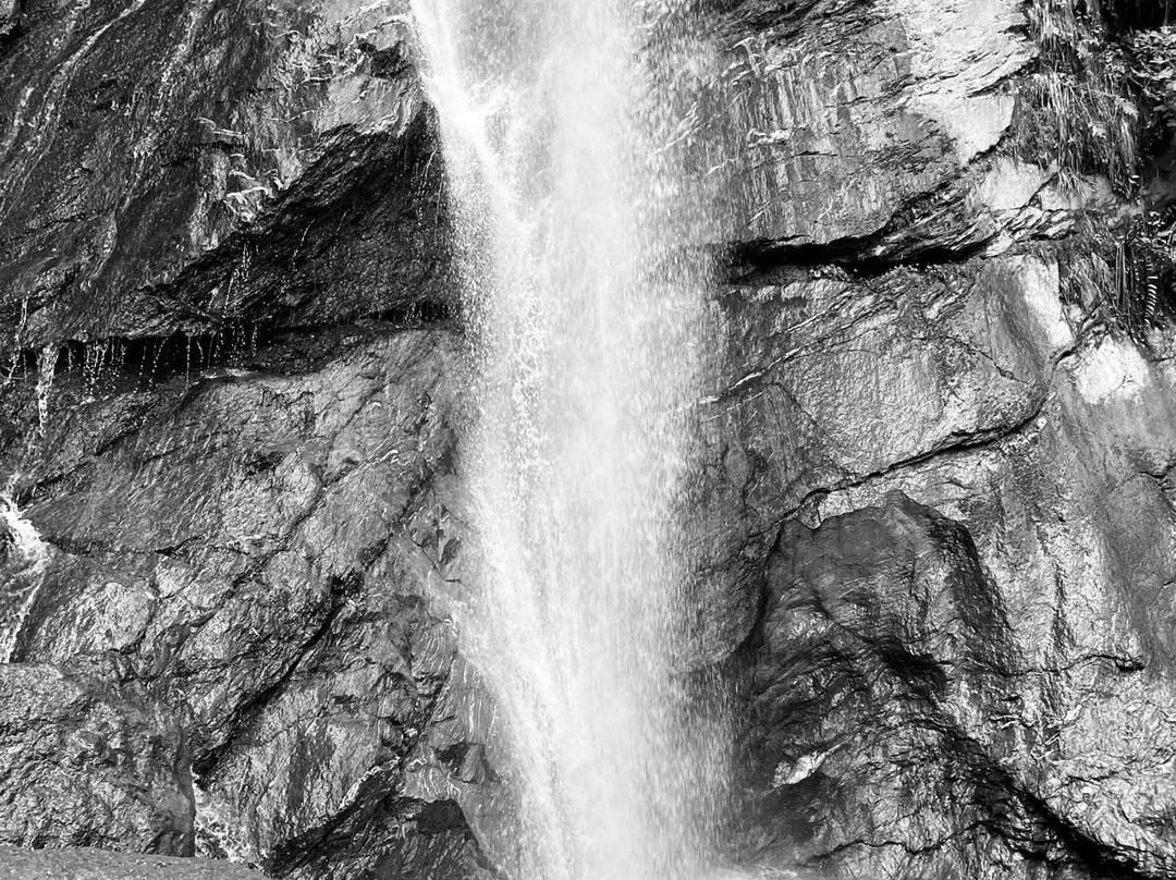 Alpin Family Resort Seetal主图