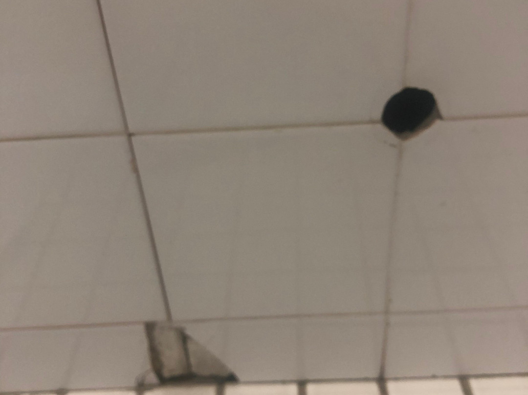 Mid City Motor Inn主图