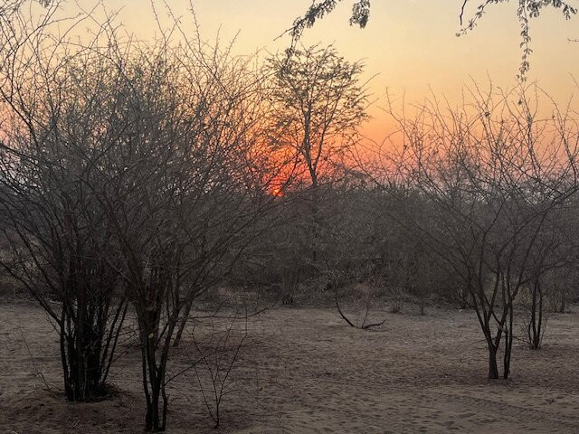 Ju/'Hoansi San Living Museum-Tsumkwe必去景点