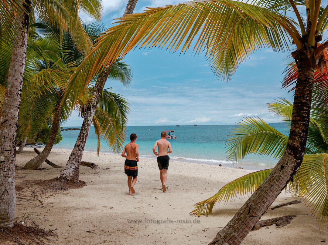 Premier Coiba Tours景点图片