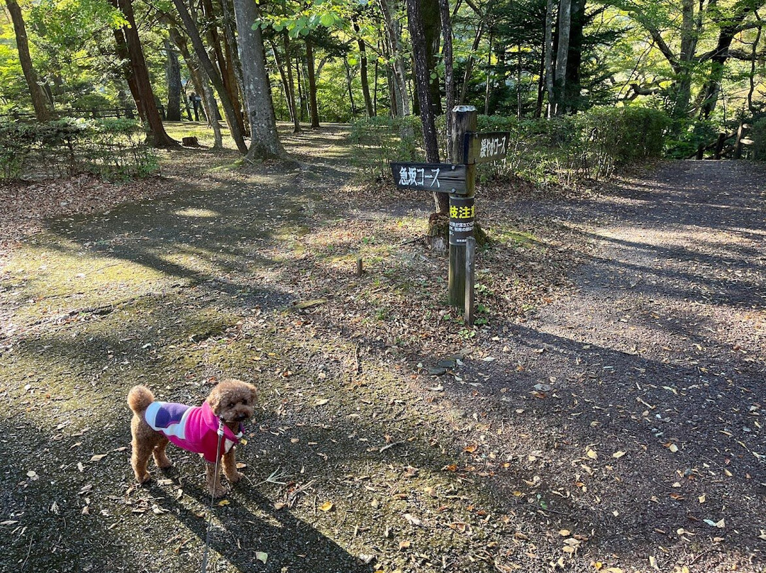 Shiobara Ravine Trail景点图片