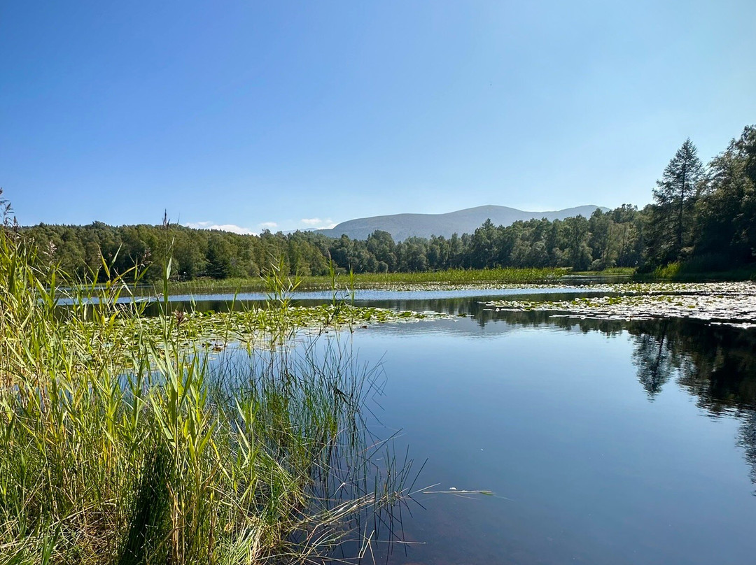 Loch an Eilein景点图片
